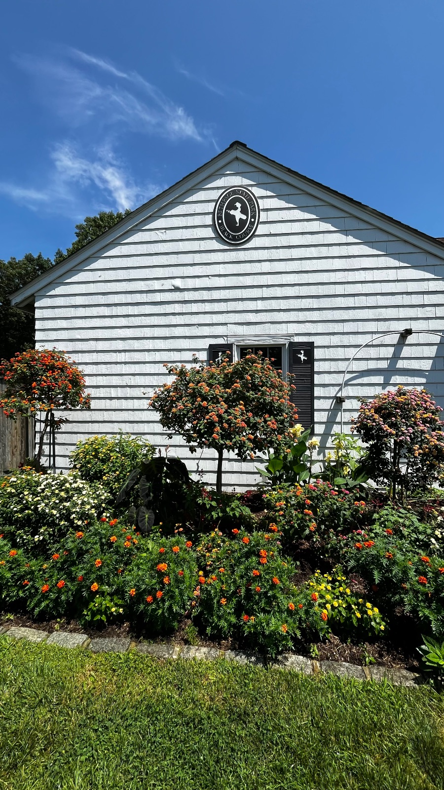 Shop garden