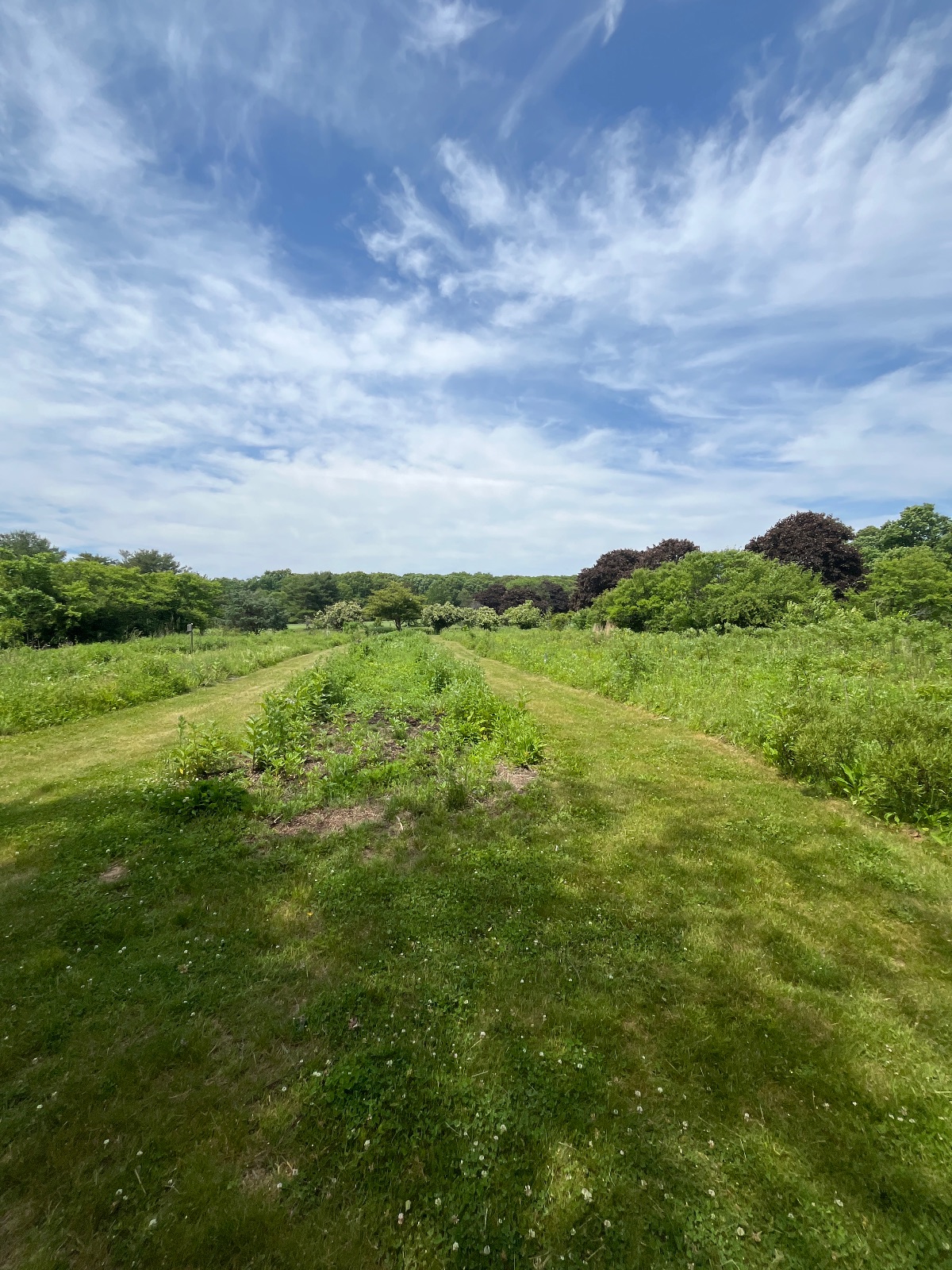 Green acre