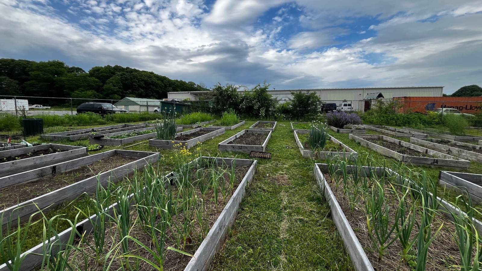 FSC Giving Garden