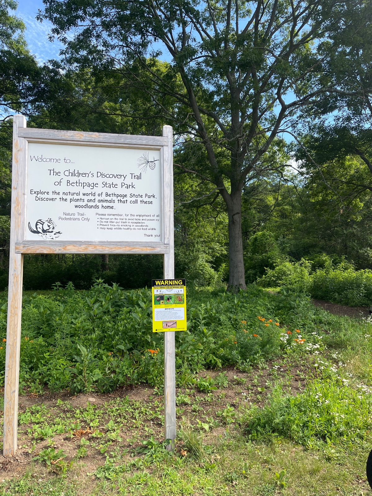 Picnic pollinator garden
