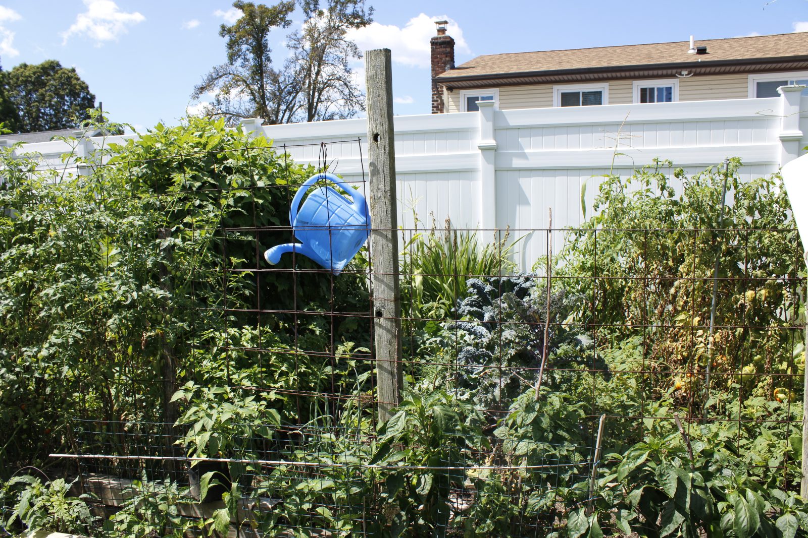 Hope garden